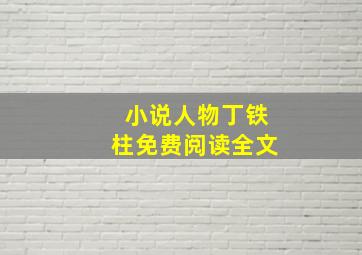 小说人物丁铁柱免费阅读全文