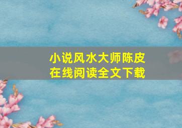 小说风水大师陈皮在线阅读全文下载