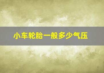 小车轮胎一般多少气压