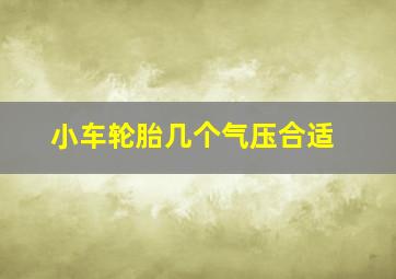 小车轮胎几个气压合适