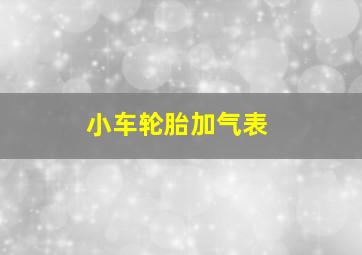 小车轮胎加气表