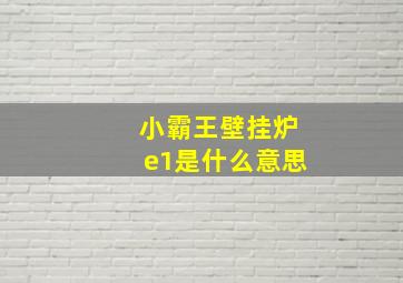 小霸王壁挂炉e1是什么意思