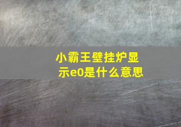 小霸王壁挂炉显示e0是什么意思