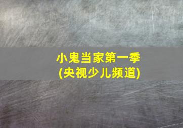 小鬼当家第一季(央视少儿频道)