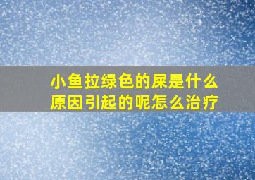 小鱼拉绿色的屎是什么原因引起的呢怎么治疗