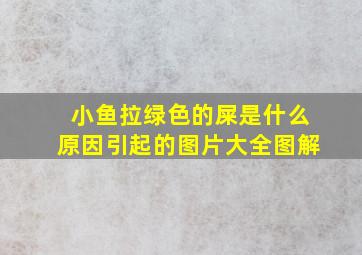 小鱼拉绿色的屎是什么原因引起的图片大全图解