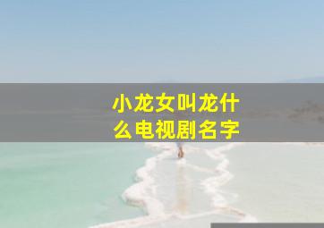 小龙女叫龙什么电视剧名字