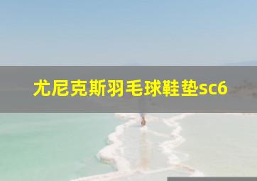 尤尼克斯羽毛球鞋垫sc6