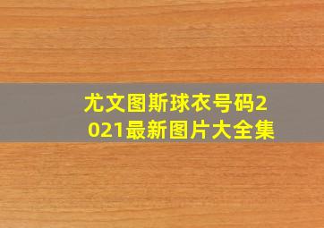 尤文图斯球衣号码2021最新图片大全集