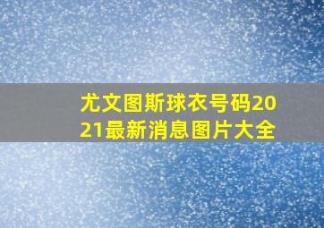 尤文图斯球衣号码2021最新消息图片大全