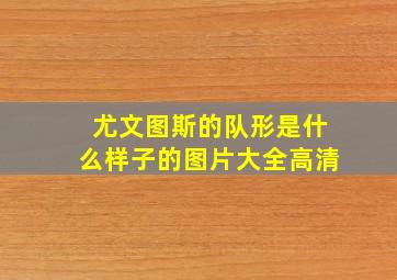 尤文图斯的队形是什么样子的图片大全高清