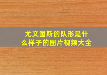 尤文图斯的队形是什么样子的图片视频大全