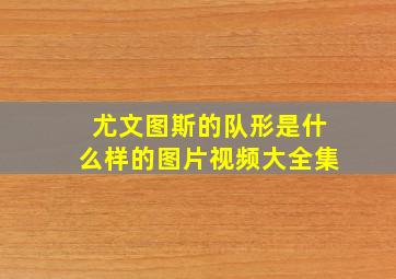 尤文图斯的队形是什么样的图片视频大全集