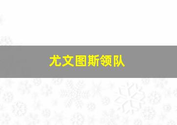 尤文图斯领队