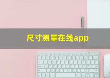 尺寸测量在线app