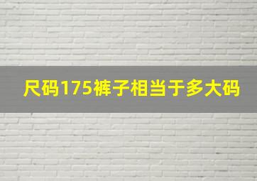 尺码175裤子相当于多大码