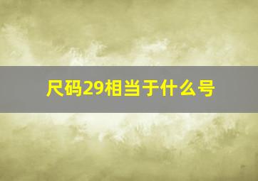 尺码29相当于什么号