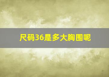 尺码36是多大胸围呢