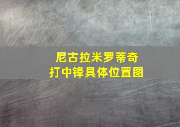 尼古拉米罗蒂奇打中锋具体位置图