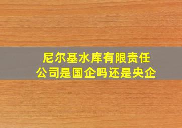 尼尔基水库有限责任公司是国企吗还是央企