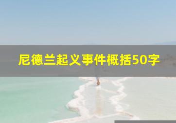 尼德兰起义事件概括50字