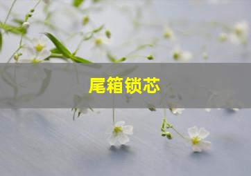 尾箱锁芯