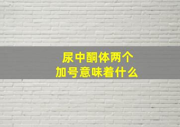 尿中酮体两个加号意味着什么