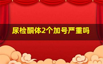 尿检酮体2个加号严重吗