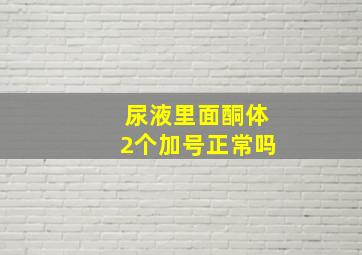 尿液里面酮体2个加号正常吗