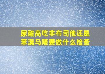 尿酸高吃非布司他还是苯溴马隆要做什么检查