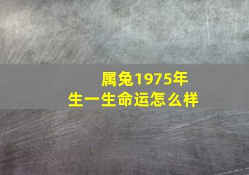 属兔1975年生一生命运怎么样