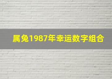 属兔1987年幸运数字组合