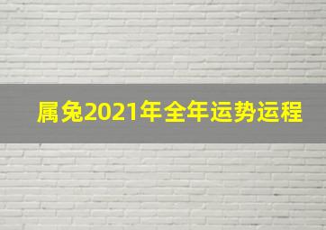 属兔2021年全年运势运程