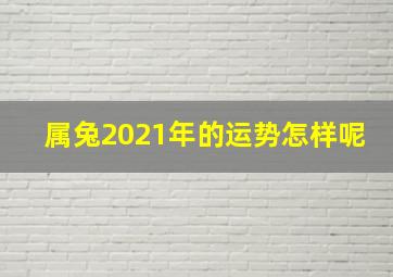 属兔2021年的运势怎样呢