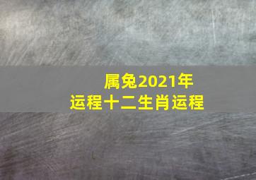 属兔2021年运程十二生肖运程