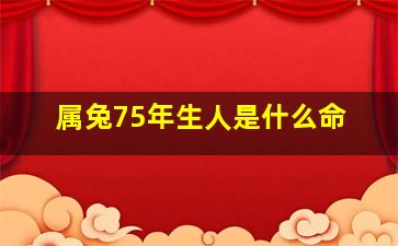 属兔75年生人是什么命