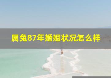 属兔87年婚姻状况怎么样