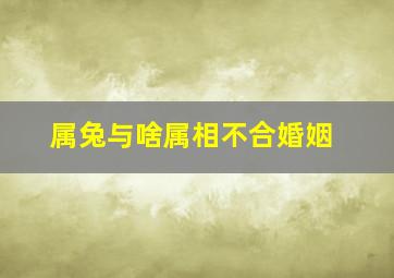 属兔与啥属相不合婚姻