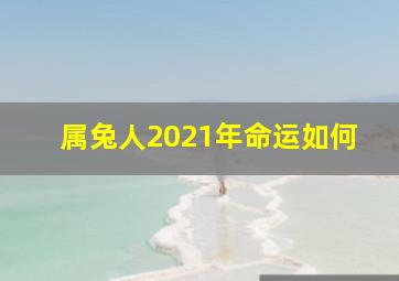 属兔人2021年命运如何