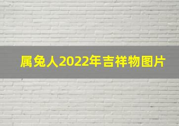 属兔人2022年吉祥物图片