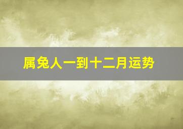 属兔人一到十二月运势