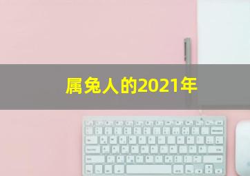 属兔人的2021年