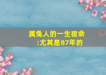 属兔人的一生宿命:尤其是87年的