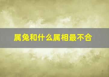 属兔和什么属相最不合