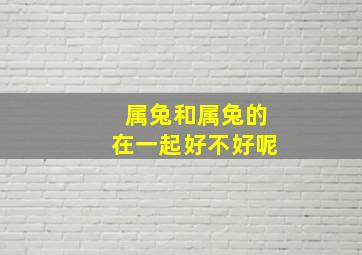 属兔和属兔的在一起好不好呢