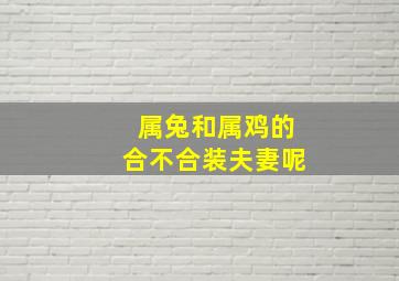 属兔和属鸡的合不合装夫妻呢