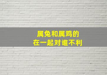 属兔和属鸡的在一起对谁不利