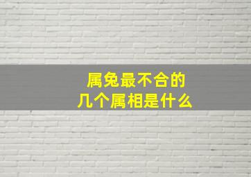 属兔最不合的几个属相是什么