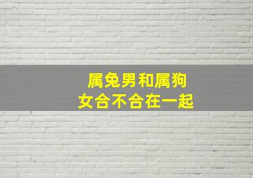 属兔男和属狗女合不合在一起