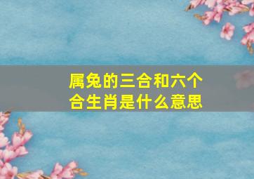 属兔的三合和六个合生肖是什么意思